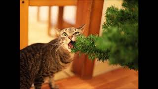 Mortal Enemies: Pets vs. Christmas Trees