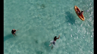 Friends, kayak and a beautiful creek - DJI Rivera Maya