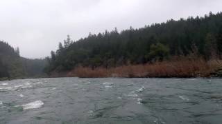 Rogue River - Day 4