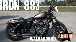 Used Motorcycle for Sale - Harley-Davidson 2019 Iron 883 - stock #UHD297