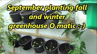 September planting for the greenhouse o matic and more  01 09 19