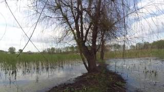 "Мертвый" водоем