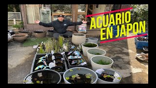 TIENDA DE ACUARIOS EN JAPÓN 😮🐠🐠