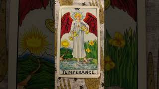 Tarot card of the day: Temperance #tarotreading #tarotreader