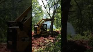 Putting trees 🌲 🌳🚜 down with the bobcat at my yard￼