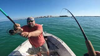 Chasing 1st Tarpon On My Boat in Sarasota Bay, Big Pass - Part 1