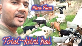 Mere Farm Par Kitni Bakriya Ha Jane|Vimalumrao