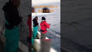 アクシデント続きのマグロ釣り  #shorts #fishing #釣り #トンジギ #釣りガール