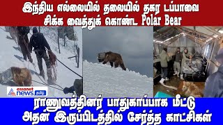 இந்திய எல்லையில் தலையில் சிக்கிய தகர டப்பாவுடன்  Polar Bear! பாதுகாப்பாக மீட்டRescue Team