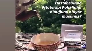 Fitoterapi polikliniği