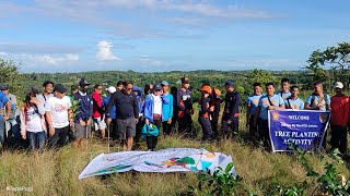 tree planting