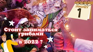 Стоит ли заниматься грибами в 2022? Выращивание шампиньонов