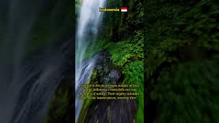 Discover Java's Hidden Waterfall Treasures | Indonesia Jungle Adventures 🌿🇮🇩