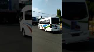 🔴 Konvoi Bus JBHD VOYAGER medium V.I.P #shortsfeed #parawisata #buspariwisata #gunungkidul