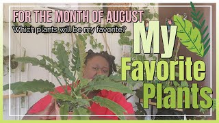 August Favorites!