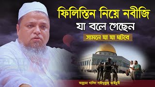 ফিলিস্তিন নিয়ে নবীজি যা বলে গেছেন || আসবে বিজয় । Maulana Khaled saifullah Ayubi