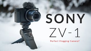 Sony ZV-1 Vlogging Camera Review: Is It Really the Perfect Camera for Beginners?