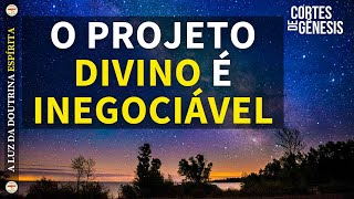 196 - NÃO HÁ PERMISSÃO DIVINA, PARA QUE O SER SE AUSENTE DA EVOLUÇÃO