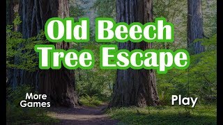 GFG Old Beech Tree Escape Walkthrough [GenieFunGames]