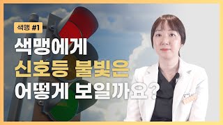 [색맹 Part 1] 색맹에게 신호등 불빛은 어떻게 보일까요? 🚥  | color blindness