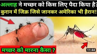 अल्लाह ने मच्छर 🦟को किस लिए पैदा किया ?🦟 Macchar Ko Marna Kaisa Hai ?🦟#byan #subscribe #viral #islam