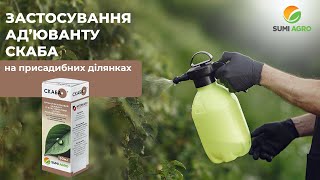 Застосування ад'юванту Скаба на присадибних ділянках: супер-розповсюдження та "прилипання"