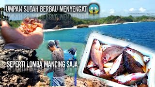 MEMANEN IKAN DARI TEBING DI LAUT LEPAS DENGAN CARA MEMANCING ,MANTAF !!