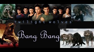 Twilight Wolves - Bang Bang