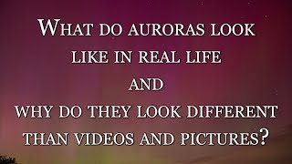 What do Auroras Look Like and Why Do They Look Different Than Videos and Photos