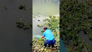 Ơ...Ơ...Ơ...Ơ Kìa ? #caughtoncamera #cauca #caucagiaitri #câucágiảitrí #fishing #xuhuong