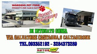 GREAT COMPANY DISTRIBUTORE DI NATUR DOG ALIMENTO COMPLETO PER IL TUO AMICO A QUATTRO ZAMPE