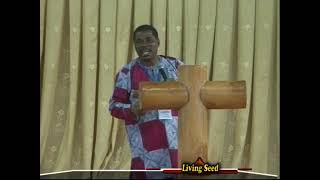 SONS  GROWN  UP  IN  THEIR  YOUTH  BY LANRE ADEBOYE