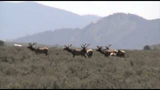 Grand Teton National Park