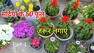 अकतूबर मे लगाएं 50 विन्टर फूलों के पौधे / सर्दियों के फूल / winter flower plant name / winter