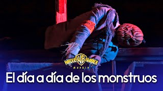 El día a día de los monstruos (PARODIA HALLOWEEN) | PARQUE WARNER 2020