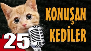 Konuşan Kediler 25 - En Komik Kedi Videoları