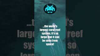 Great Barrier Reef #shorts #RapstersTechHangout