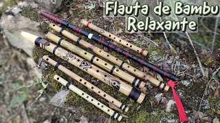 Flauta de Bambu e  Som de Ondas (Shakuhachi Japonesa) - Relaxar e Meditar