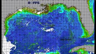 Gulf of Mexico Ocean Conditions Update - 3/12/2024