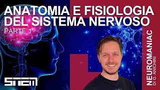 Anatomia e fisiologia del Sistema Nervoso Pt. 1 - NeuroManiacs