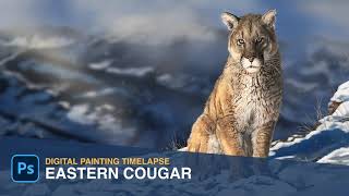 Drawing Eastern Cougar | Digital Painting Timelapse