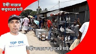 টঙ্গী বাজার কবুতরের হাট | tongi bazar | কম দামে কবুতর ক্রয় করতে চলে আসুন টঙ্গী কবুতর বাজার | Pigeon