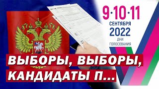 Выборы депутатов. Единый день голосования в России