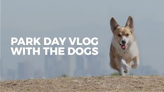 VLOG: Weekend park days with the dogs!