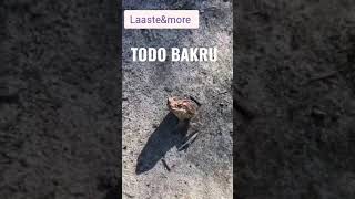 TODO BAKRU - A NO ALA TOTO NA TODO PAS OP