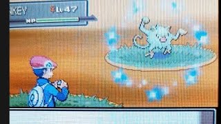 shiny mankey pokemon platinum