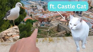 A day in Denia, exploring a Spanish castle