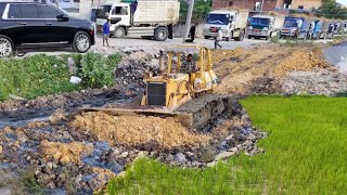 Wow!Great New Operational Project,Driver Skill,clearing Mud dirt Huge Field,5TonTrucks loading Soil