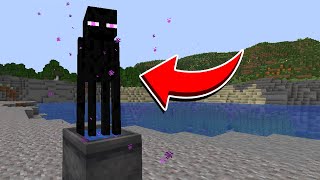 The logic of the Enderman....