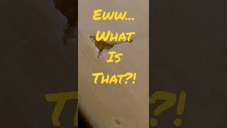 E.W.I.T. 13: Can you guess that Eww? 🤔 #food #lol #funny